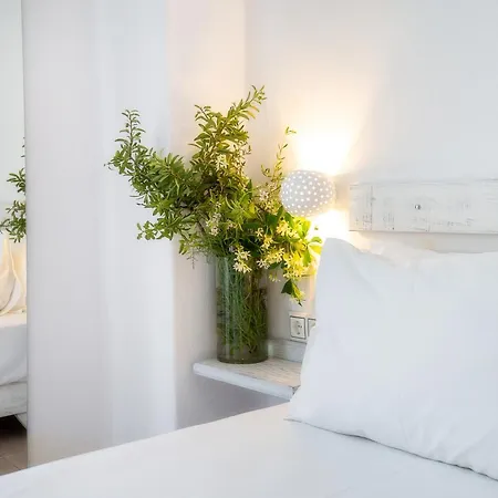 Πανσιόν Piatsa Michalis Ποτός