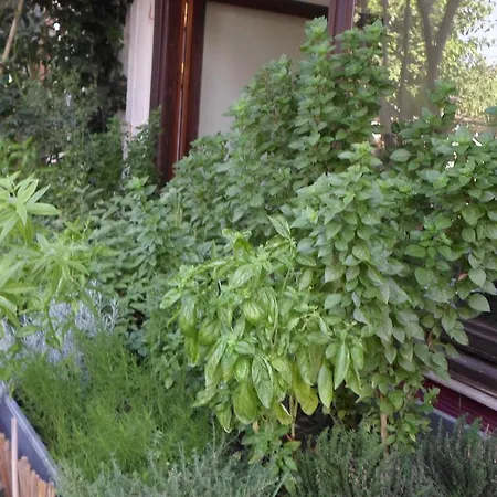 Guest house Piatsa Michalis *