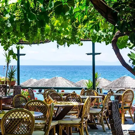 Piatsa Michalis Potos