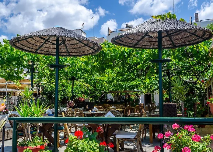 Piatsa Michalis 4* Potos