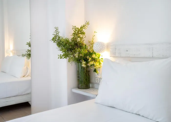 Guest house Piatsa Michalis Potos